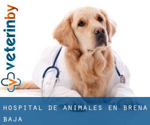 Hospital de animales en Breña Baja