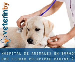 Hospital de animales en Burgos por ciudad principal - página 2