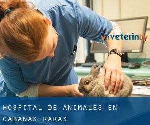 Hospital de animales en Cabañas Raras