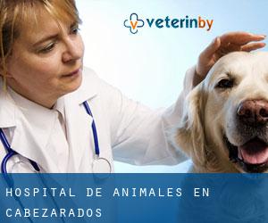 Hospital de animales en Cabezarados