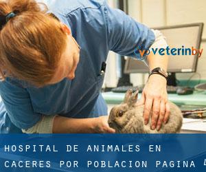 Hospital de animales en Cáceres por población - página 4