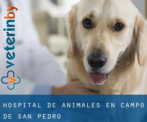 Hospital de animales en Campo de San Pedro