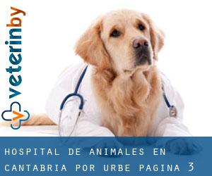Hospital de animales en Cantabria por urbe - página 3 (Provincia)
