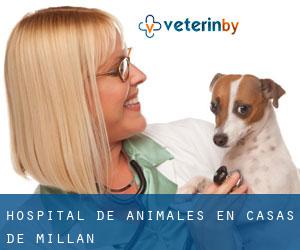 Hospital de animales en Casas de Millán
