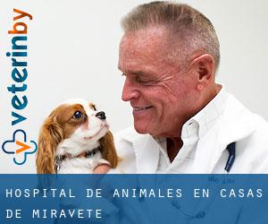 Hospital de animales en Casas de Miravete