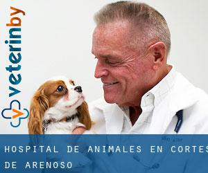 Hospital de animales en Cortes de Arenoso