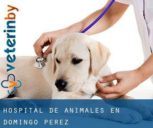 Hospital de animales en Domingo Pérez