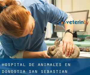 Hospital de animales en Donostia / San Sebastián