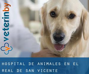 Hospital de animales en El Real de San Vicente