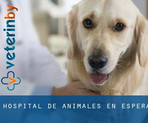 Hospital de animales en Espera