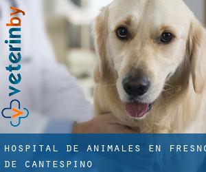 Hospital de animales en Fresno de Cantespino