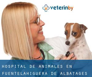 Hospital de animales en Fuentelahiguera de Albatages