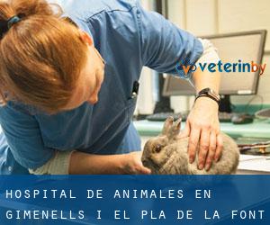 Hospital de animales en Gimenells i el Pla de la Font
