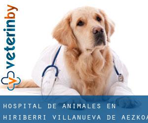 Hospital de animales en Hiriberri / Villanueva de Aezkoa