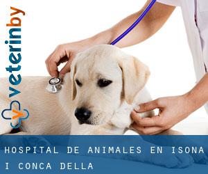 Hospital de animales en Isona i Conca Dellà Hospital de animales en Isona i Conca Dellà