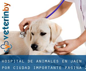 Hospital de animales en Jaén por ciudad importante - página 2