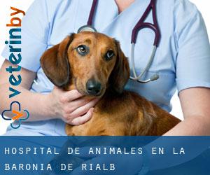 Hospital de animales en la Baronia de Rialb