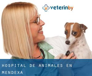 Hospital de animales en Mendexa