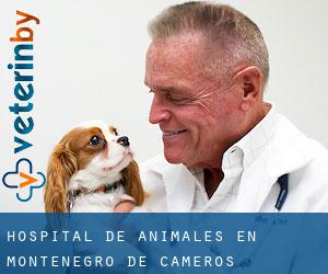 Hospital de animales en Montenegro de Cameros