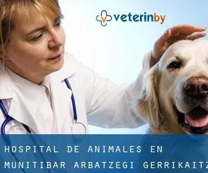 Hospital de animales en Munitibar-Arbatzegi Gerrikaitz-