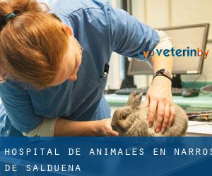 Hospital de animales en Narros de Saldueña