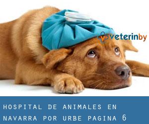 Hospital de animales en Navarra por urbe - página 6 (Provincia)