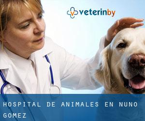 Hospital de animales en Nuño Gómez
