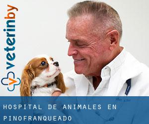 Hospital de animales en Pinofranqueado
