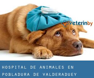Hospital de animales en Pobladura de Valderaduey