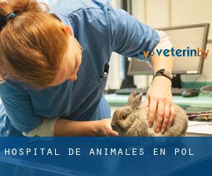 Hospital de animales en Pol