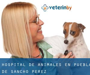 Hospital de animales en Puebla de Sancho Pérez