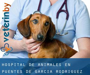Hospital de animales en Puentes de García Rodríguez