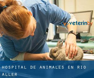 Hospital de animales en Río Aller
