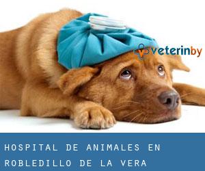 Hospital de animales en Robledillo de la Vera