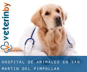 Hospital de animales en San Martín del Pimpollar