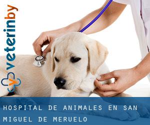 Hospital de animales en San Miguel de Meruelo