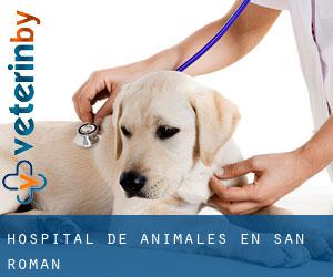 Hospital de animales en San Román