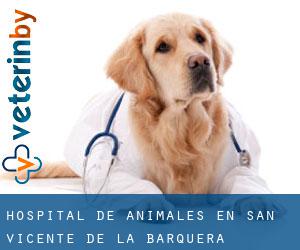 Hospital de animales en San Vicente de la Barquera