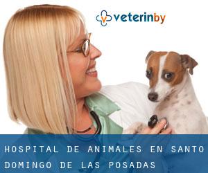 Hospital de animales en Santo Domingo de las Posadas