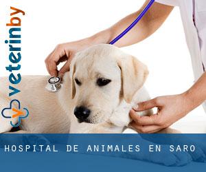 Hospital de animales en Saro