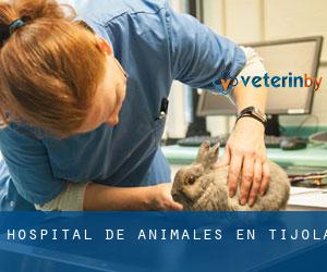 Hospital de animales en Tíjola