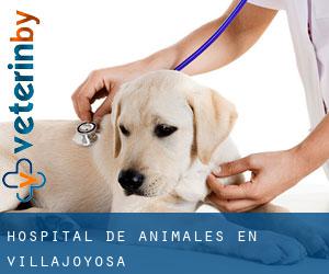 Hospital de animales en Villajoyosa