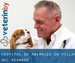 Hospital de animales en Villar del Pedroso