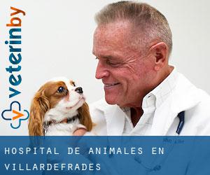 Hospital de animales en Villardefrades