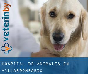 Hospital de animales en Villardompardo