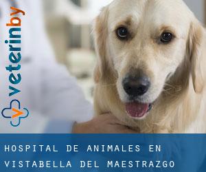 Hospital de animales en Vistabella del Maestrazgo