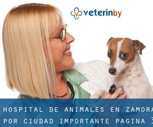 Hospital de animales en Zamora por ciudad importante - página 3