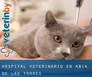 Hospital veterinario en Abia de las Torres