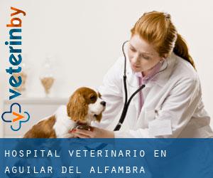 Hospital veterinario en Aguilar del Alfambra
