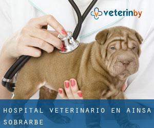 Hospital veterinario en Aínsa-Sobrarbe